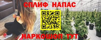 jwh Будённовск