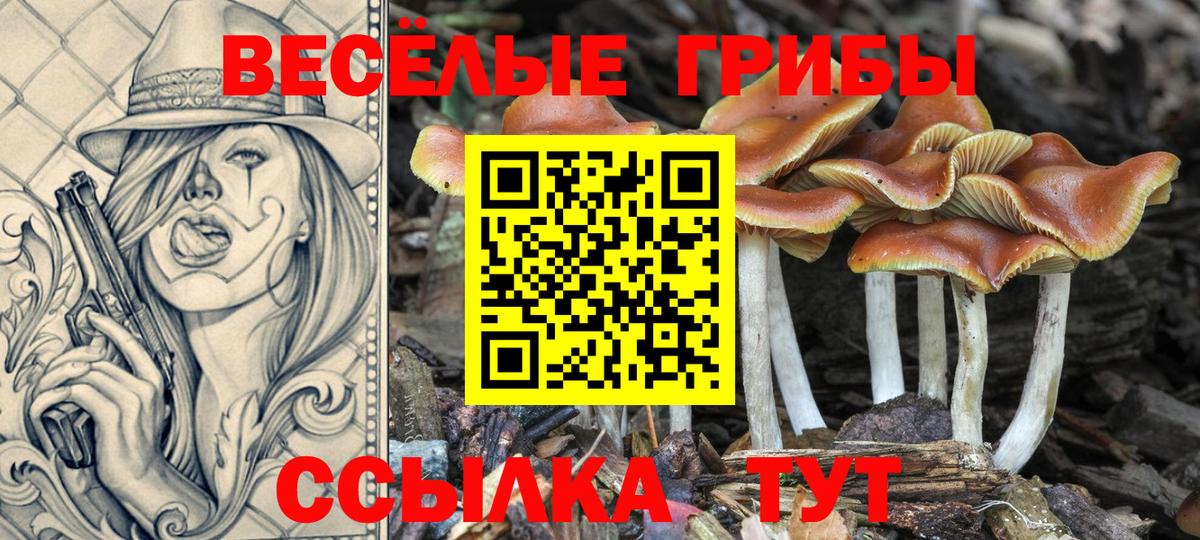 Псилоцибиновые грибы Psilocybine cubensis  Галлюциногенные грибы Cubensis  Вход с VPN  Краснодар 