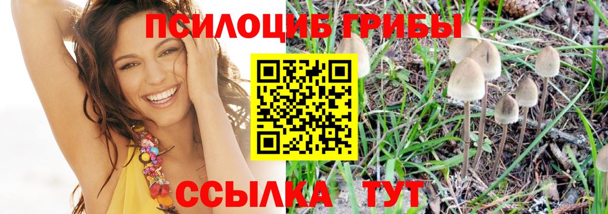 Псилоцибиновые грибы мухоморы Краснодар