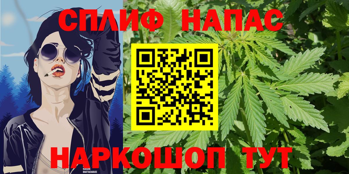 Канабис план Краснодар